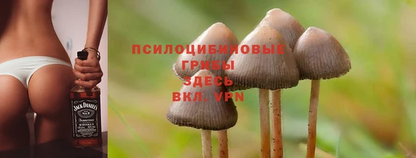 соль ск Алексин