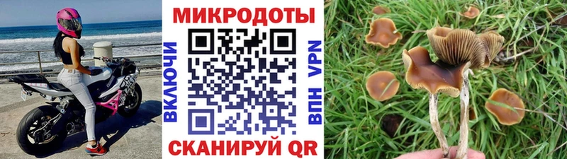 Псилоцибиновые грибы ЛСД  Минусинск 